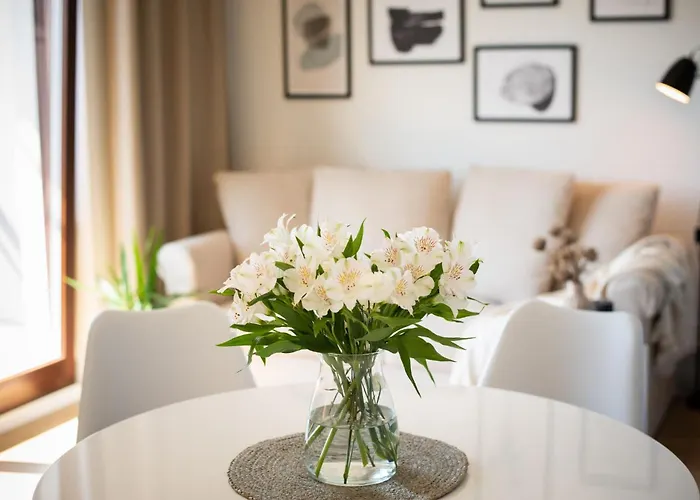 Flatbook - City Center Spa Apartments Torunska 11